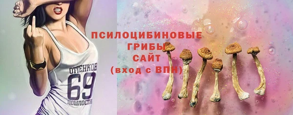 молекула духа Армянск