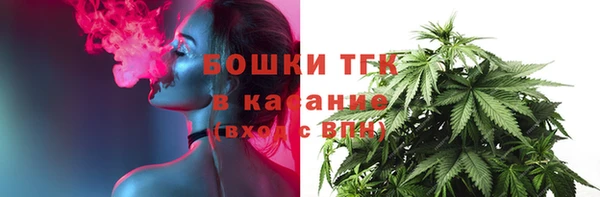 спиды Аркадак