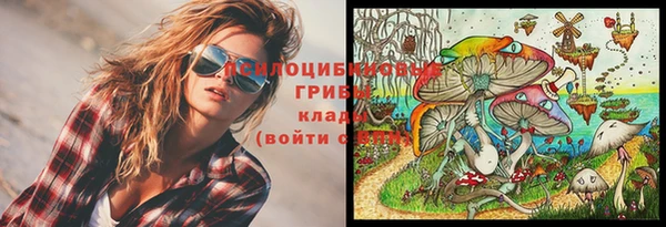 тгк Арсеньев