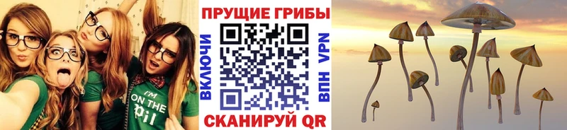 Псилоцибиновые грибы ЛСД  mega   Тырныауз 